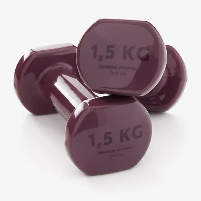 Weight Training Dumbbells 1.5 kg - Red