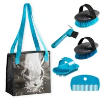 Poney Grooming Kit