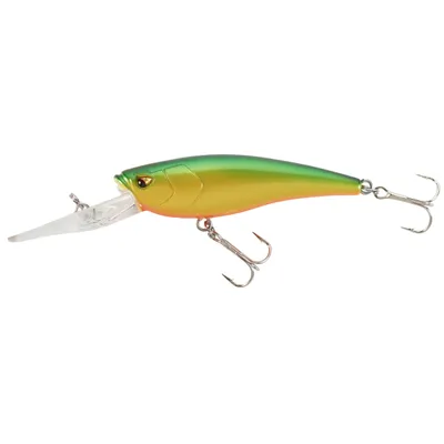 lure fishing crankbait