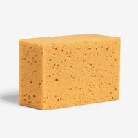 Horseback riding grooming sponge
