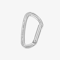 Non-Locking Carabiner