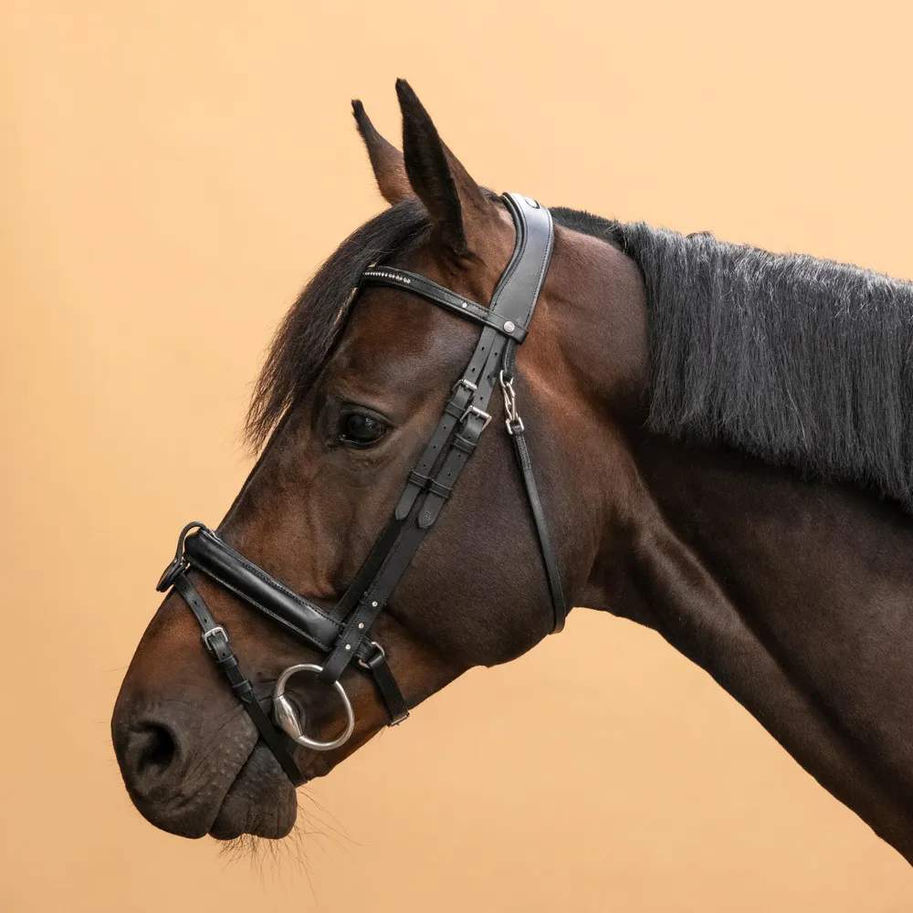 Horse Riding Leather Bridle with French Noseband - 580 Rhinestones Black