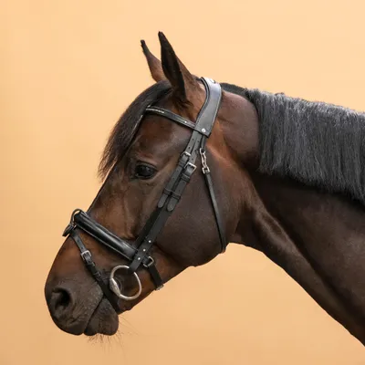 Horse Riding Leather Bridle with French Noseband