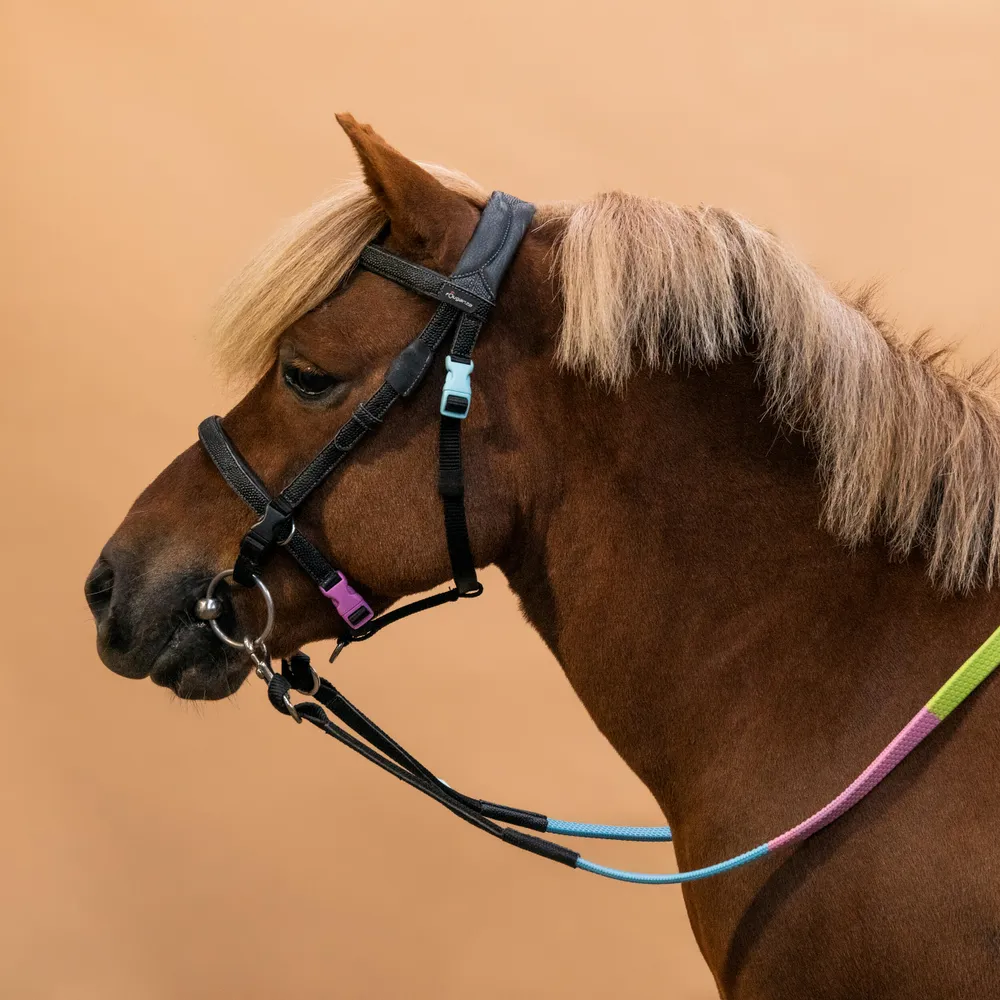 Pony Riding Synthetic Beginner Bridle and Reins