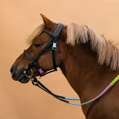 Pony Riding Synthetic Beginner Bridle and Reins