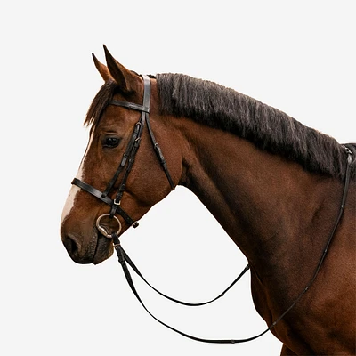 Horse & Pony Riding Leather Bridle with French Noseband & Reins