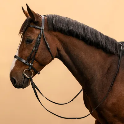 Horse & Pony Riding Leather Bridle with French Noseband & Reins