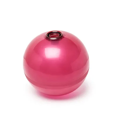 2 kg Fitness Water Ball