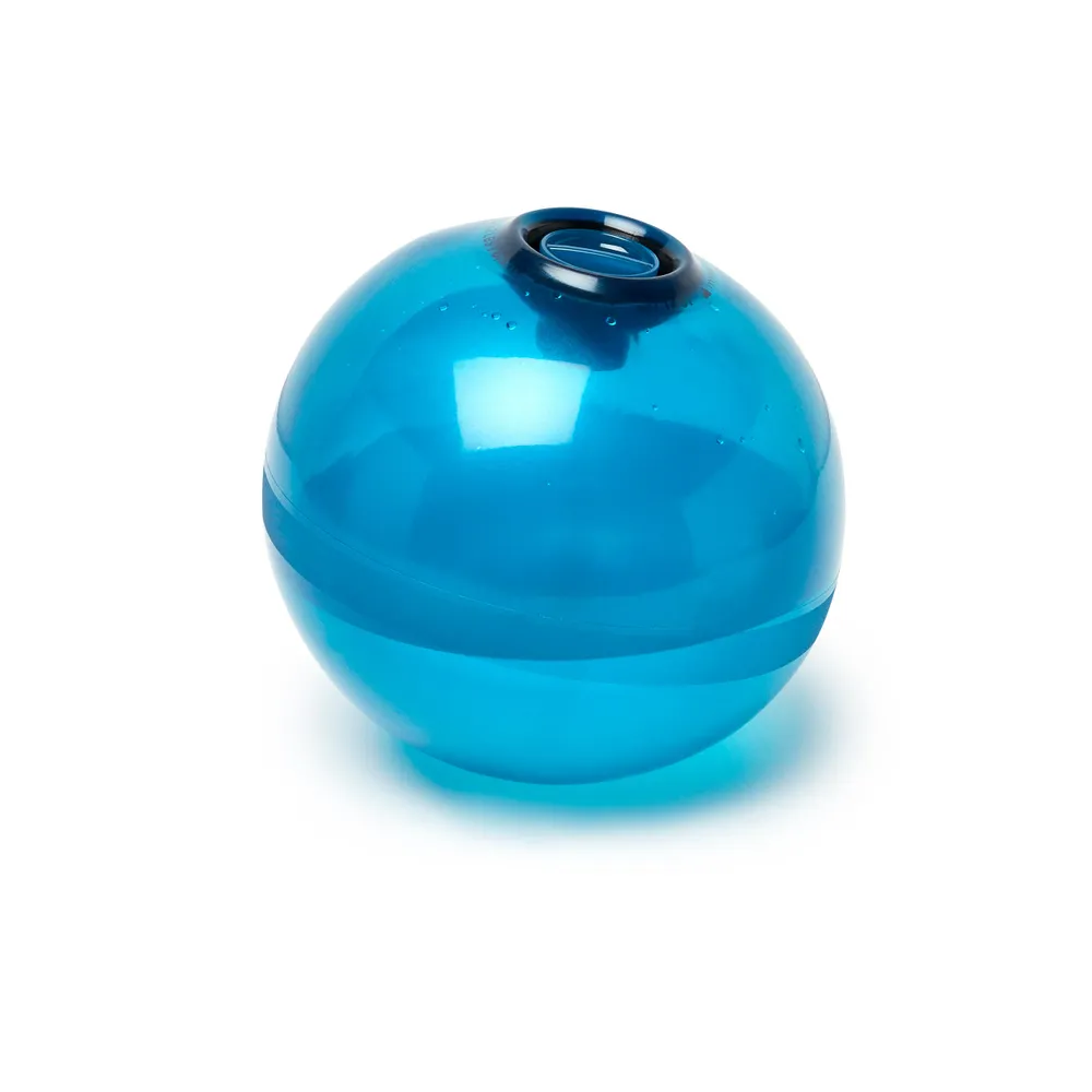 1 kg Fitness Water Ball