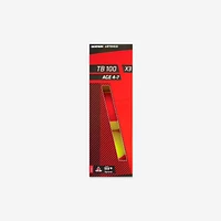 TB100 tennis ball 3-pack