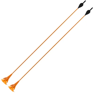 x2 Archery Arrows