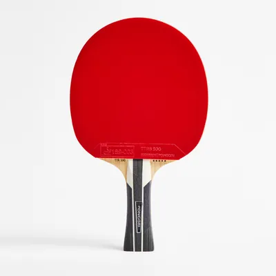 Table Tennis Paddle - TTR 590