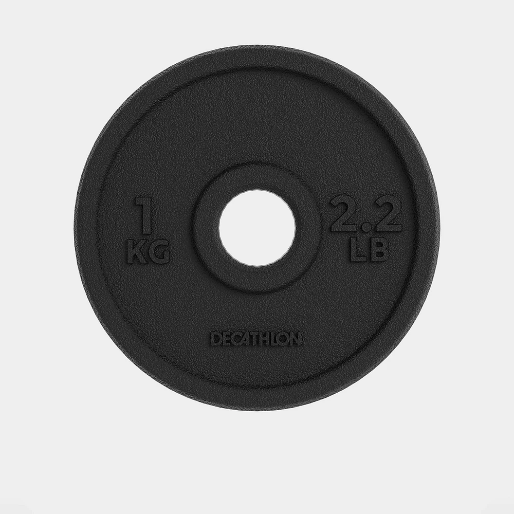 1 kg Cast Iron Plate