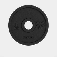 1 kg Cast Iron Plate