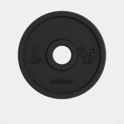 1 kg Cast Iron Plate