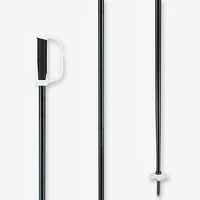 Downhill Ski Pole