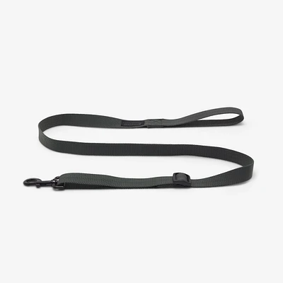 Dog Leash - 100 Green