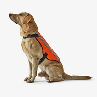 Dog Hunting Jacket - 100 Orange