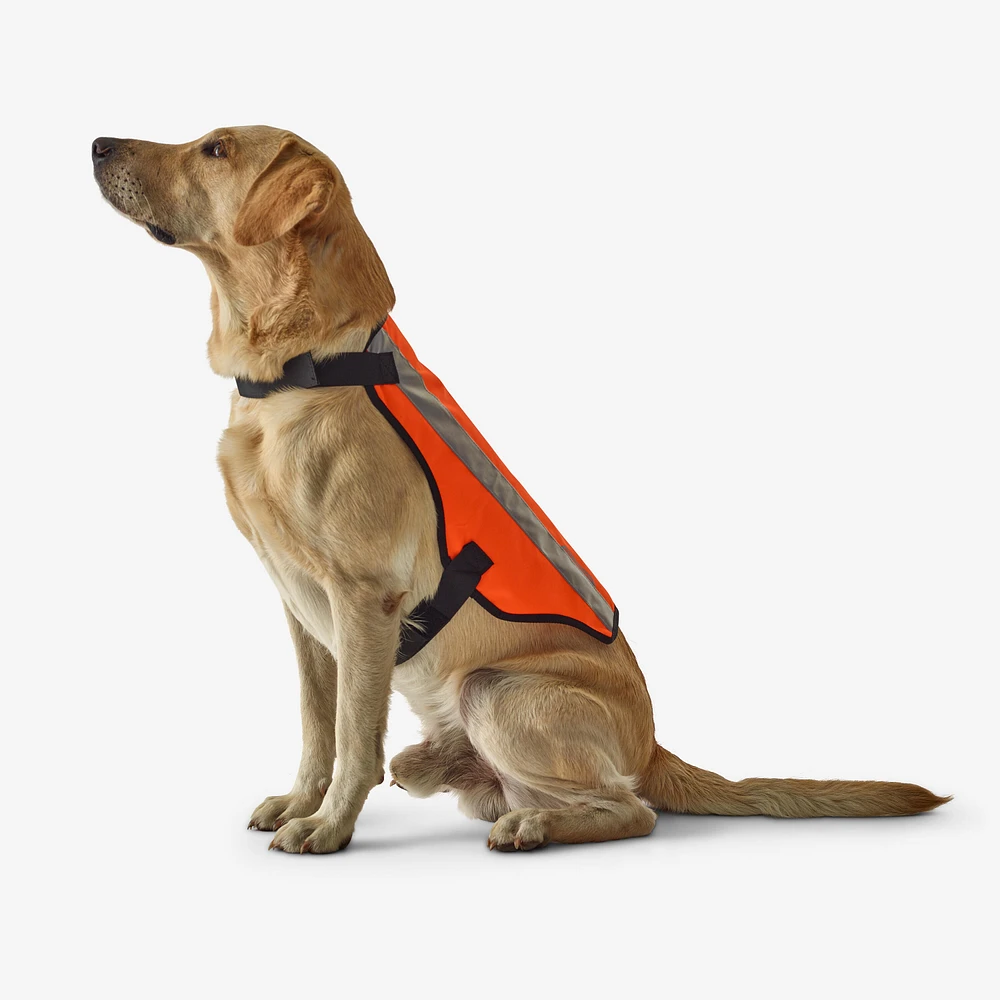 Dog Hunting Jacket - 100 Orange