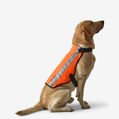 Dog Hunting Jacket - 100 Orange