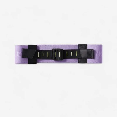 Adjustable Glute Band 22 kg