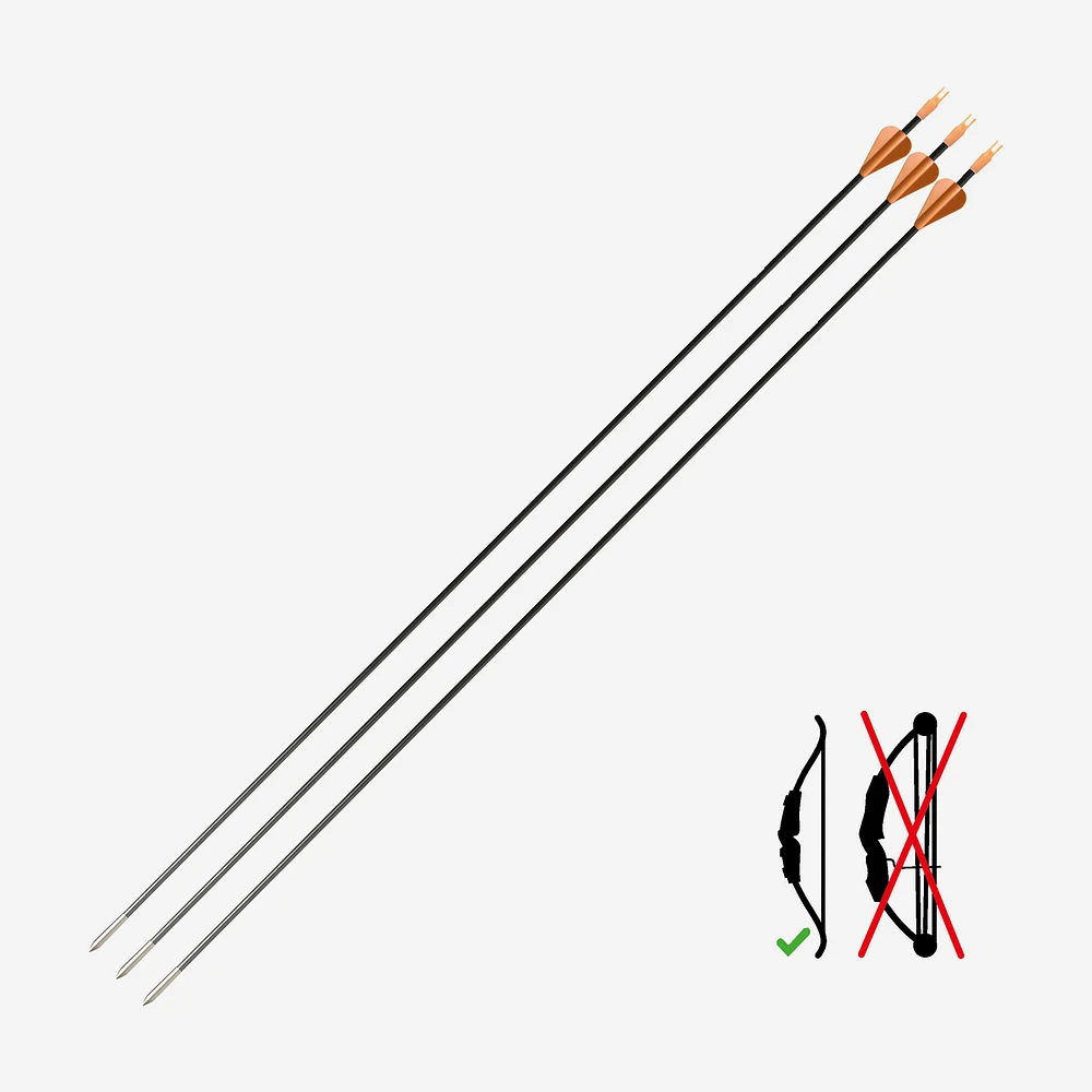 Carbon Arrow Tri-Pack - Discovery 300