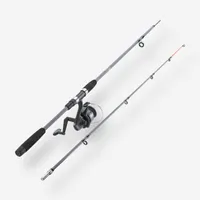 Resifight 100 fishing reed/rod combo