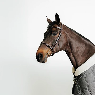 Horse & Pony Riding Leather Bridle with French Noseband - 900 Brown