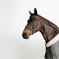 Horse & Pony Riding Leather Bridle with French Noseband - 900 Brown
