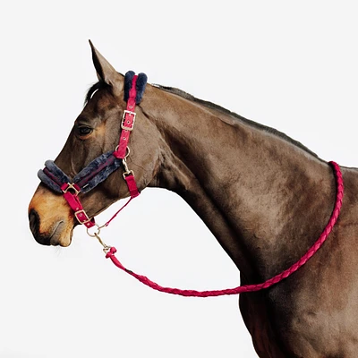 Horse Riding Halter + Leadrope Kit Comfort for Horse & Pony