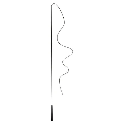 Horse Riding Lunging Whip for Horse and Pony - Black
