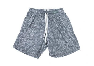 Copped Shorts Paisley Storm