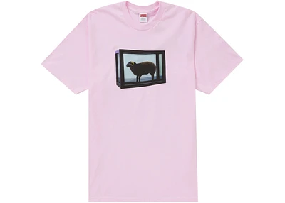 Supreme Damien Hirst Tee Light Pink