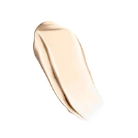 Future Skin Oil Free Foundation