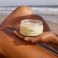 Undaria Algae Body Butter