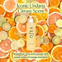 Undaria Algae Body Wash