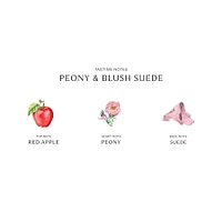 Peony & Blush Suede