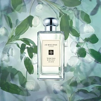 Wood Sage & Sea Salt