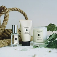 Wood Sage & Sea Salt Travel Collection