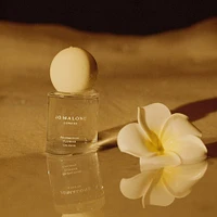 Frangipani Flower Cologne