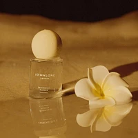 Frangipani Flower Cologne