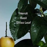 Neroli & Basil Deodorant