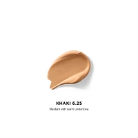 Vanish Airbrush Concealer