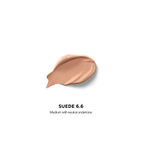 Vanish Airbrush Concealer