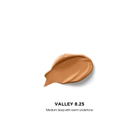 Vanish Airbrush Concealer