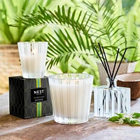 Coconut & Palm Candle