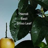 Neroli & Basil Body Wash 450 mL