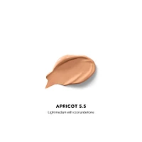 Vanish Airbrush Concealer