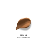 Vanish Airbrush Concealer