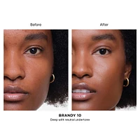Vanish Airbrush Concealer